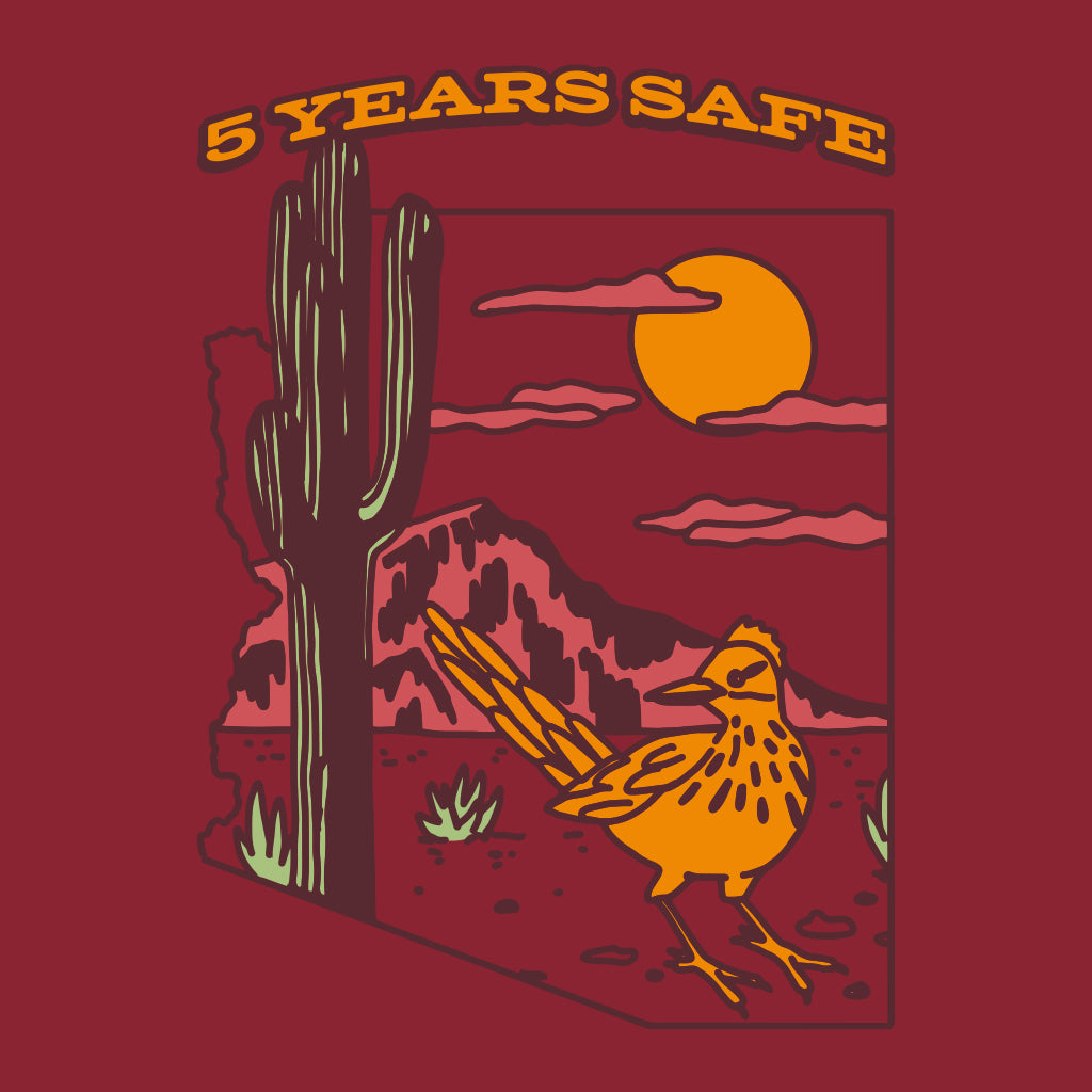 New Mexico 5 Years Safe Design