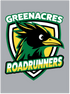 Greenacres Elementary PTA Merchandise Fall 2026 - Youth Hoodie (Roadrunner Apparel)