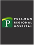 Pullman Regional Hospital Holiday Merchandise Winter 2025 - Ladies Nike Dri-FIT Vertical Mesh Polo