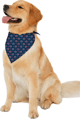 H3H Dog Bandana