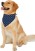 Hilinski's Hope - H3H Dog Bandana