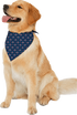 Hilinski's Hope - H3H Dog Bandana
