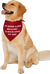 Hilinski's Hope - 'I'm Never Alone' Dog Bandana
