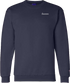 National Association of State Directors of Developmental Disabilities Services Pop Up Fall 2026 - Crewneck