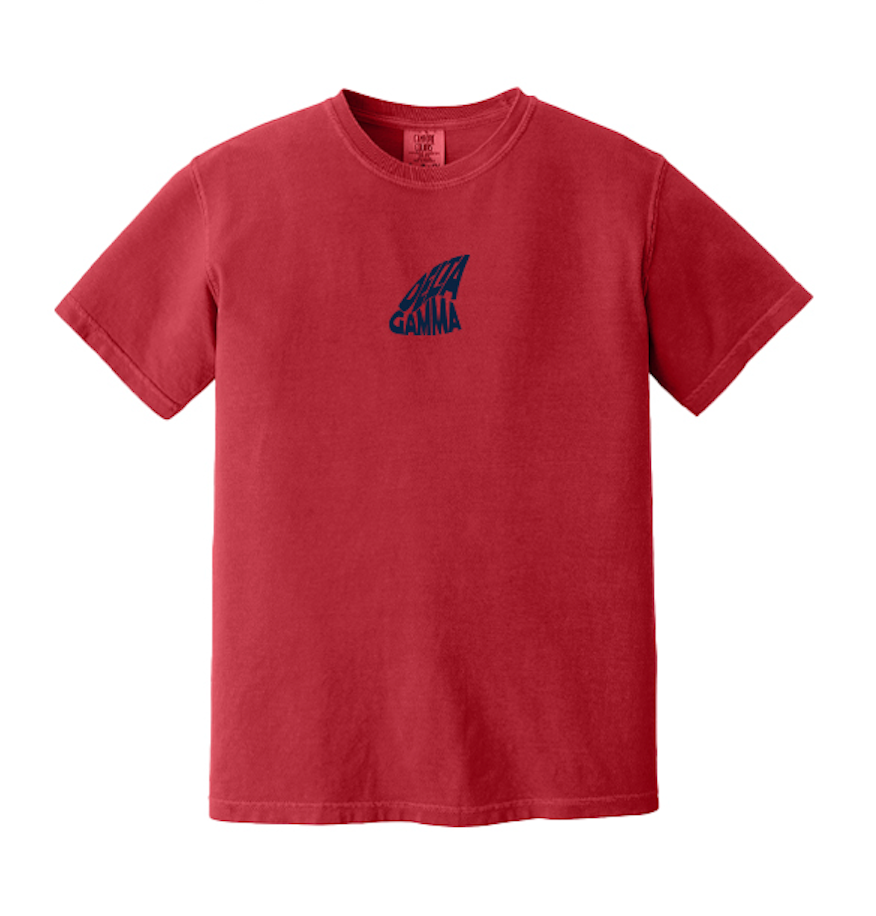 University of Idaho Delta Gamma Anchor Splash Apparel Spring 2025 - T-Shirt