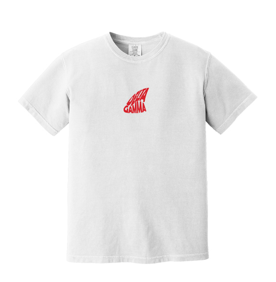 University of Idaho Delta Gamma Anchor Splash Apparel Spring 2025 - T-Shirt