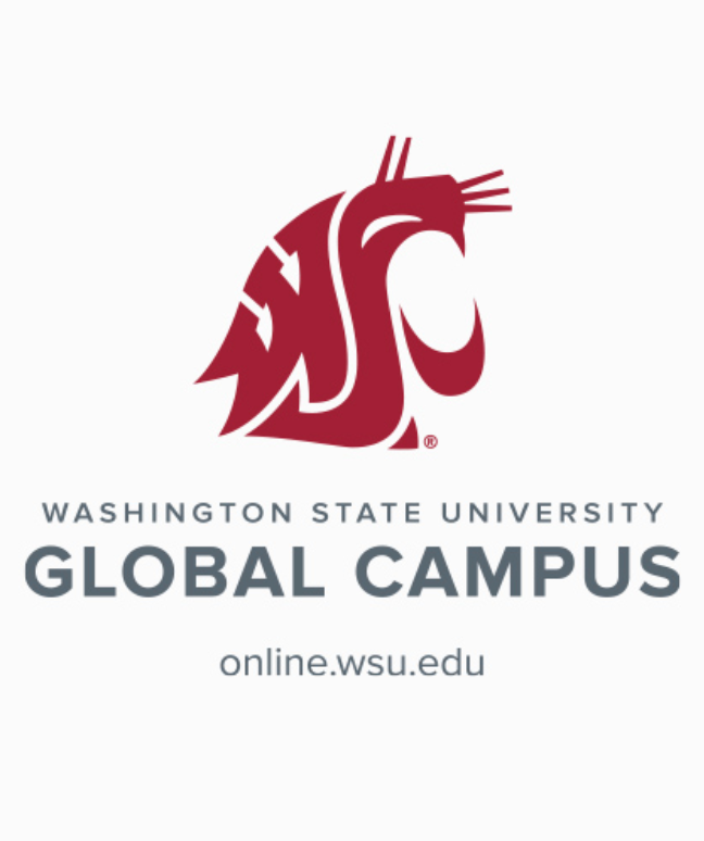 Washington State University Global Graduation Merchandise Spring 2025 - Beach Towel
