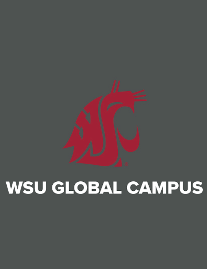 Washington State University Global Graduation Merchandise Spring 2025 - Mercer+Mettle Ladies Texture 1/4 Zip