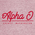 Alpha Omicron Pi Retro PR Design