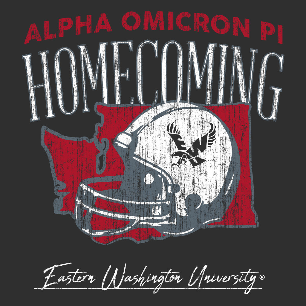 Alpha Omicron Pi Washington Helmet Homecoming Design