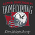 Alpha Omicron Pi Washington Helmet Homecoming Design