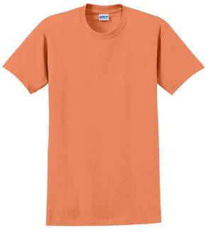 Gildan 2000 Unisex T-Shirt  (Available in 63 Colors)