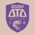 Delta Tau Delta Idaho Fish Design