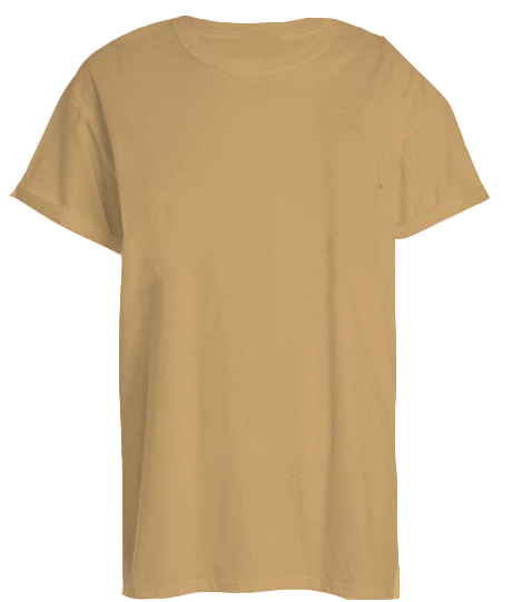 American Apparel RSA0410 Le New Big Tee