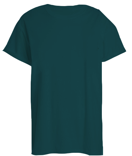 American Apparel RSA0410 Le New Big Tee