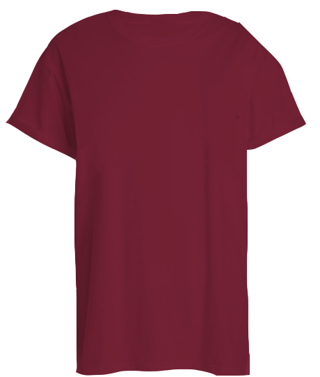 American Apparel RSA0410 Le New Big Tee