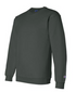 Champion Double Dry Eco Crewneck Sweatshirt