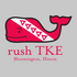 Tau Kappa Epsilon Rush shirt