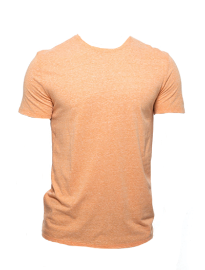 Threadfast Apparel Unisex Triblend Short-Sleeve T-Shirt